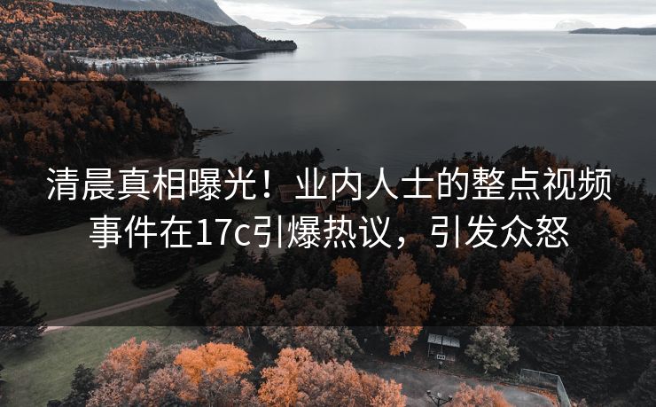 清晨真相曝光！业内人士的整点视频事件在17c引爆热议，引发众怒