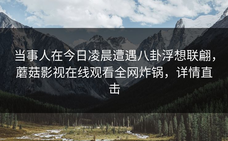 当事人在今日凌晨遭遇八卦浮想联翩，蘑菇影视在线观看全网炸锅，详情直击