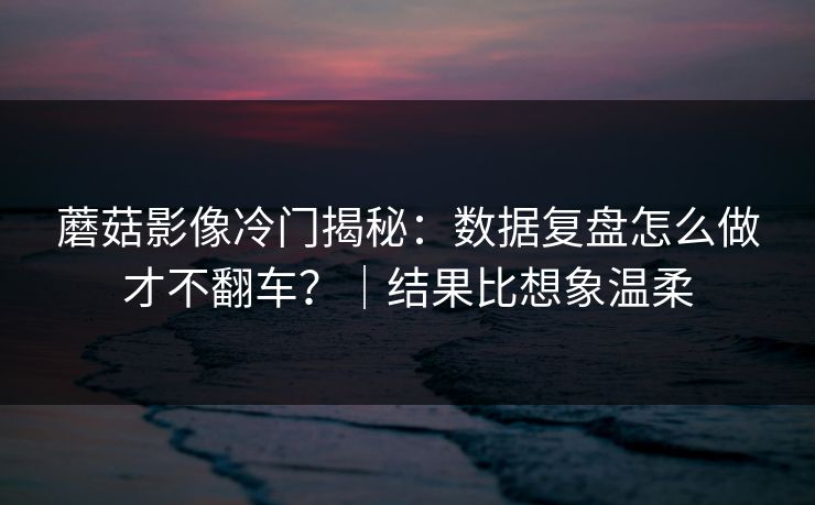 蘑菇影像冷门揭秘：数据复盘怎么做才不翻车？｜结果比想象温柔